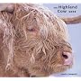 The Highland Cow Calendar 2009
