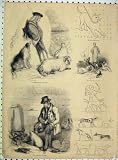RAT CATCHER TERRIERS HIGHLAND SHEPHERD DOG OLD PRINT