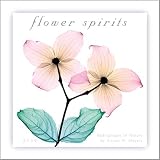 Flower Spirits 2009 Mini Wall Calendar