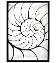 'Nautilus Shell' Metal Wall Art Sculpture