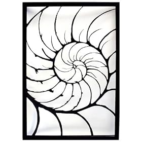 'Nautilus Shell' Metal Wall Art Sculpture