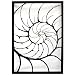 'Nautilus Shell' Metal Wall Art Sculpture