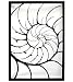 'Nautilus Shell' Metal Wall Art Sculpture