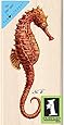 Inkadinkado Tim Coffey Wood Stamp, Red Seahorse