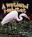 A Wetland Habitat (Introducing Habitats)