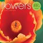 Flowers - 2010 Big Print Wall Calendar