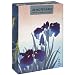 Museums & Galleries Iris Boxed Note (Pack of 2)