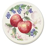 Corelle Chutney Absorbent Stone Coaster, 4-Pack by Corelle