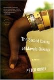 The Second Coming of Mavala Shikongo: A Novel