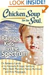 Chicken Soup for the Soul: Raising Ki...