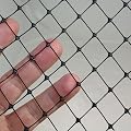 Plastic Bird Netting - 2 metres wide