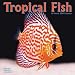 Tropical Fish 2010 Wall Calendar 12" X 12"