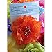 Sara Monica Flower Hair Clip and Pin Victorian Lace