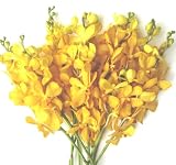 Fresh Flowers - Yellow Mokara Orchids