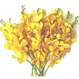 Fresh Flowers - Yellow Mokara Orchids