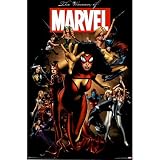  : Marvel Heroes (Women of Marvel) Art Poster Print - 24x36