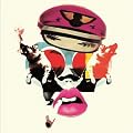 Always Outnumbered, Never Outgunned [VINYL]