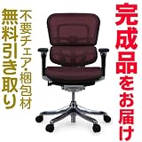 エルゴヒューマンプラス　完成品　ロータイプ　エラストメリックメッシュ　レッド　Ergohuman plus ＥＨＰ-ＬＡＭ　ＫＭ-12の画像