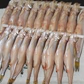 本ししゃも子持メス30本（釧路産）