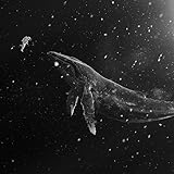 【先行販売】EXO ウィンタースペシャルアルバム SING FOR YOU [CHEN Ver.(韓国語 + 中国語)](2枚SET)(Ktown4u特典)(Ktown4u限定)