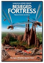 Streaming The Besieged Fortress Using The Web.