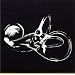 Obtainium