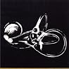 Image of album by Skeleton Key