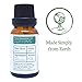 Sage Essential Oil by Simply Earth - 15 ml, 100% Pure Therapeutic Grade