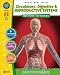 Circulatory, Digestive & Reproductive Systems (Human Body)