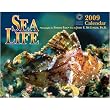 Sea Life 2009 Wall Calendar