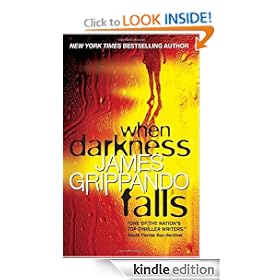 When Darkness Falls (Jack Swyteck)
