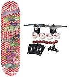 ALIEN WORKSHOP Complete Skateboard MIKE TAYLOR LIFE STAGES 8.25