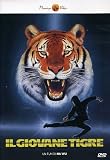 Giovane Tigre (Il)