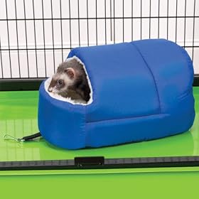 Ferret Bed