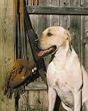 Yellow Lab by Joe Cole,16 in. x 20 in.