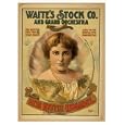 Historic Theater Poster (S), Waites Stock Co and grand orchestra the best for the least money