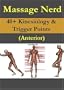 40+ Kinesiology & Trigger Points Anterior
