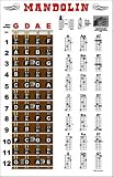 Mandolin Fretboard and Chord Chart Instructional Poster