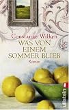 Was von einem Sommer blieb - Constanze Wilken