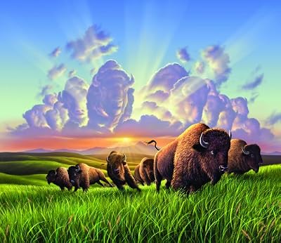 Bison 550pc Jigsaw Puzzle by Jerry LoFaro