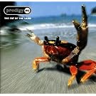 The Fat Of The Land [Explicit]