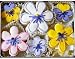 Flower Power Hand Decorated Sugar Cookies