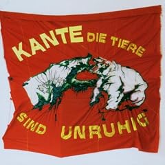 Die Tiere Sind Unruhig