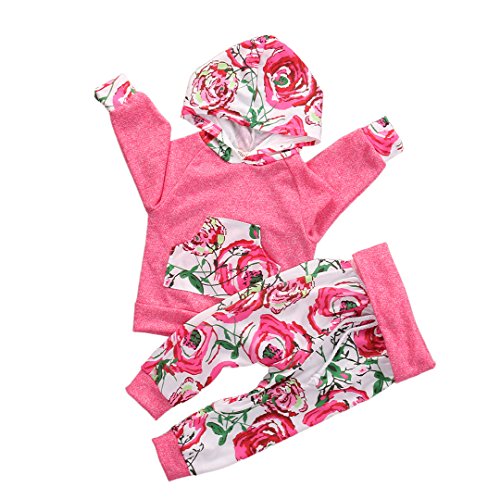 Baby Girls Long Sleeve Floral Hoodie + Pant 2 PCS Outfits Clothing Set
