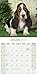 Basset Hound Calendar - Only Dog Breed Basset Hounds Calendar - 2016 Wall calendars - Hound Dog Calendars - Monthly Wall Calendar by Avonside