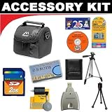 51mEAbzaHkL. SL160  2GB DB ROTH Deluxe Accessory kit For The Panasonic Lumix DMC G1 DMC L10 Digital SLR Cameras