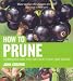 How to Prune: Techniques and Tips for Every Plant and Season