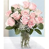 Pink Roses Gift