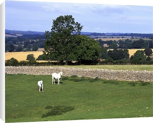 Canvas Prints of Cotswold landscape from Country Life 