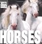 Horses (CubeBook)